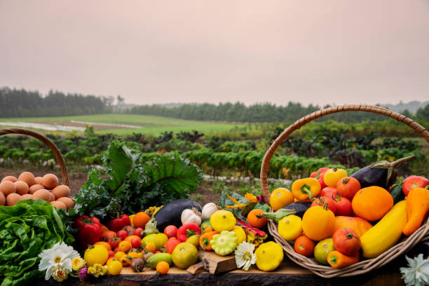 Read more about the article The Benefits of Buying Fresh Produce Directly from Farms